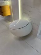 Комплект подвесной унитаз+крышка 8.2097.6.400.000.1 + 8.9297.1.000.000.1 Laufen IlBAGNO ALESSI  с LCC покрытием| Распродажа экспозиции