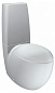 Крышка-сиденье Laufen Alessi One 8.9297.1.000.000.1 с микролифтом петли хром