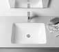 Раковина 55x38 см Laufen Pro S 8.1196.3.400.109.1 | С LCC покрытием